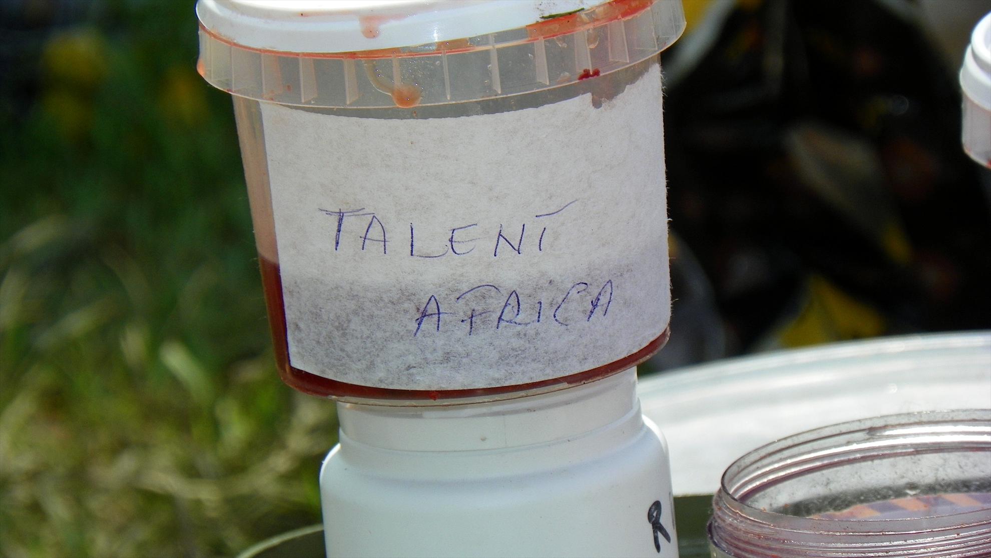 Crapmania (2) - 2011 - 1001563.JPG